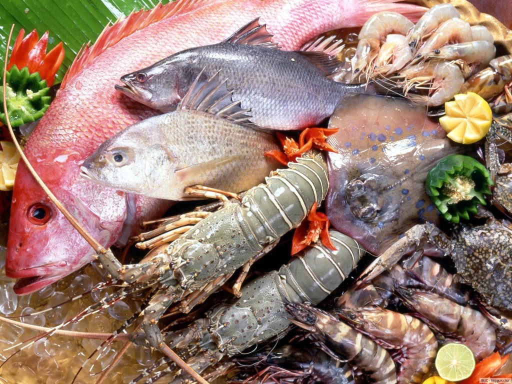 Comment Bien Choisir son Poisson : le Guide Ultime de l’Étal au Clic