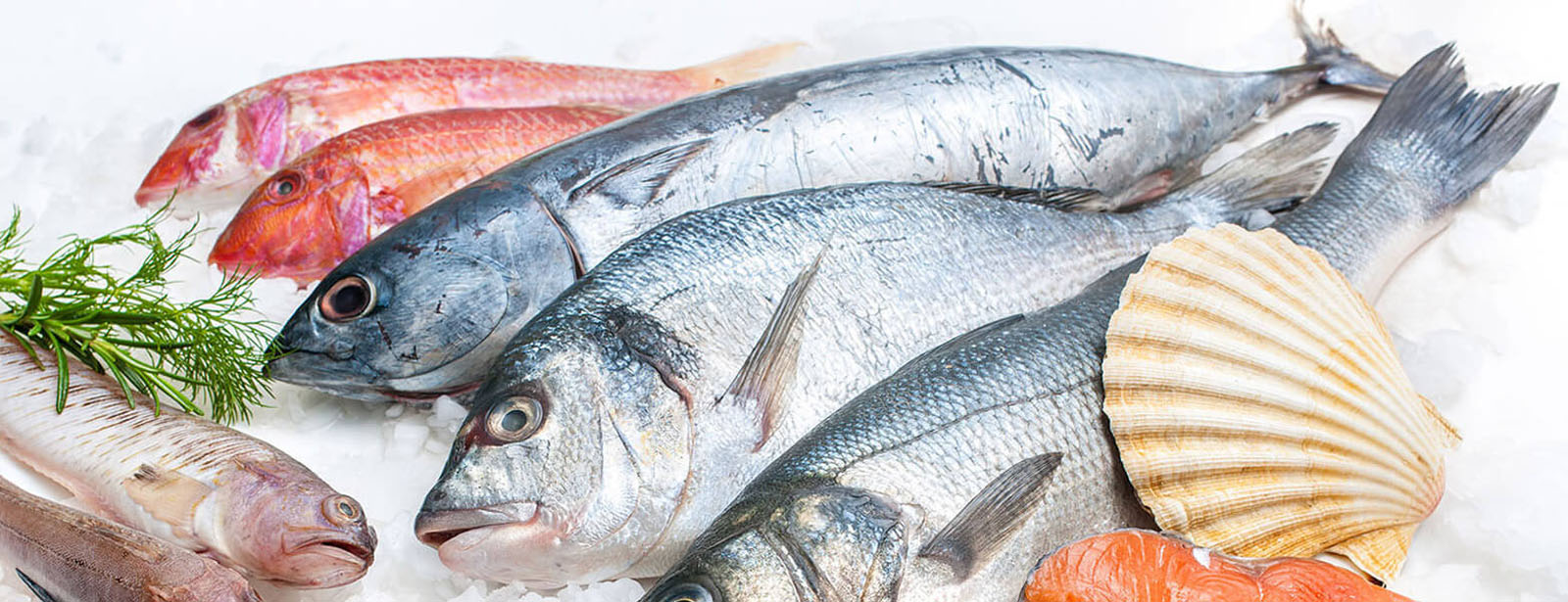 poissonnier traiteur Lyon Les halles de l'ouest