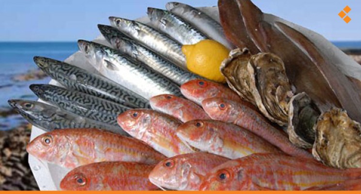 Lire la suite à propos de l’article Comment choisir son poisson en Été : guide mois par mois  à Lyon