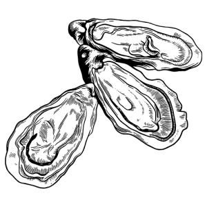 1 pièce Gillardeau N°2