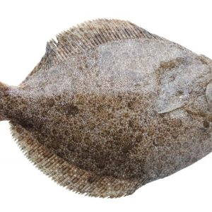 Barbue