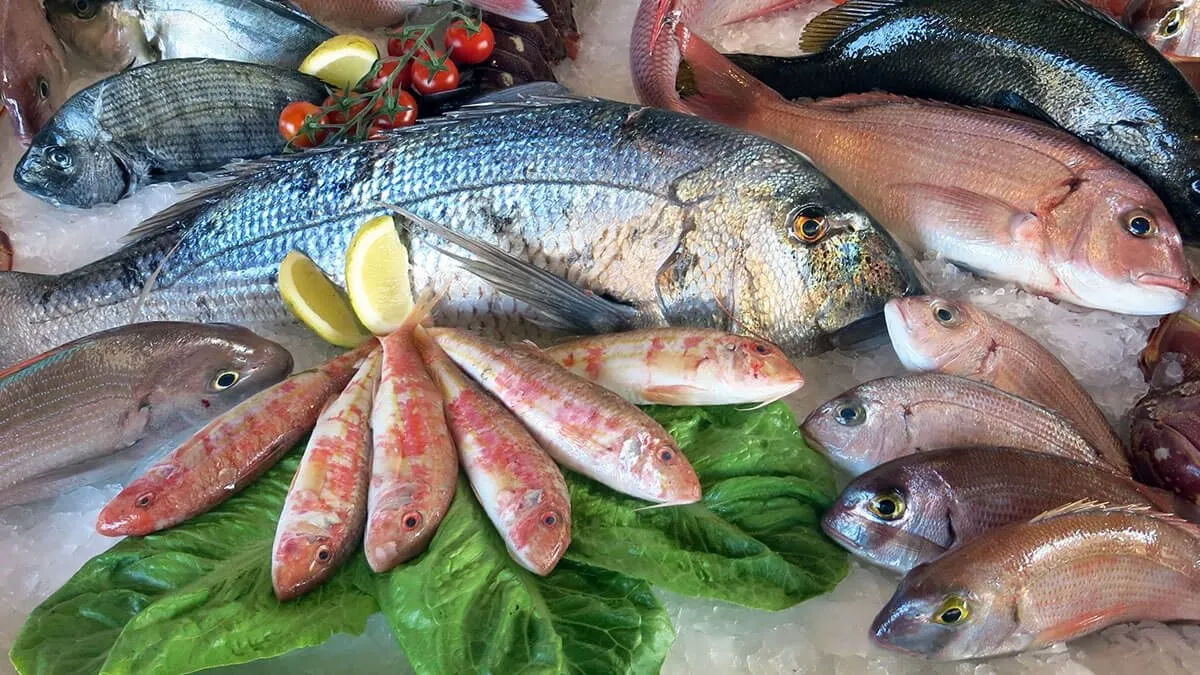 Lire la suite à propos de l’article Choisir son poisson au Printemps  : guide mois par mois à Lyon